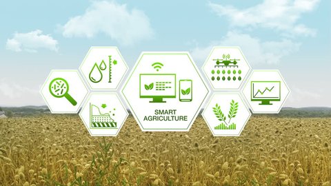 Smart Agriculture Smart Farming Hexagon Information Stock Footage Video ...