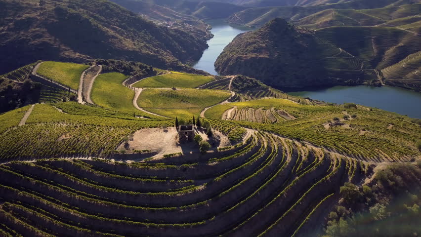 Aerial shot Alto Douro Wine Region, Douro, Portugal Royalty-Free Stock Footage #32401627