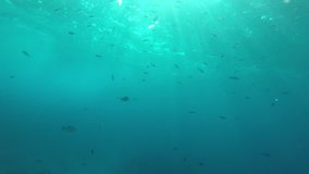 Underwater blue background and sunbeams in ocean