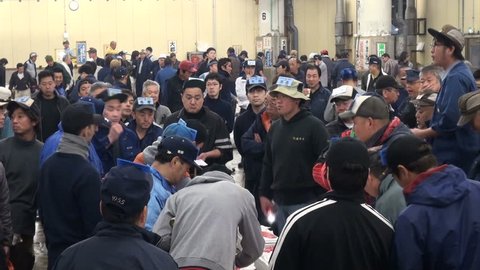 TOKYO, JAPAN - 7 NOVEMBER 2012: People have gathered to take part in a tuna auction at the largest fish market in the world in Tokyo, Japan