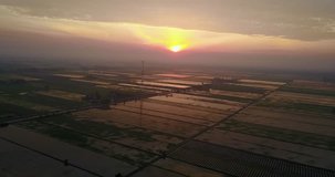 An aerial 4k, video of a green and irrigated paddy field with rows of rice sprouts and beautiful sun ray reflected from the water in the field