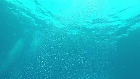 Underwater blue ocean