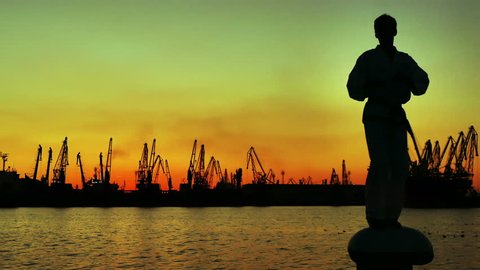 silhouette martial artist training alone on the sea pier, practicing his moves on sunset and port cranes background. 
