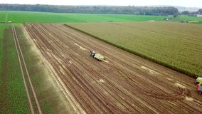 Aerial video of harvesting a corn field in germany with a combine harvester on autumn