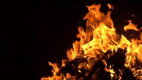 Texture of fire on a black background. Beautiful flames close. Alpha channel fire in burning your night. 