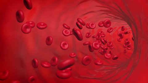 Computer generated video to simulate a red blood cells loop flowing inside vessel