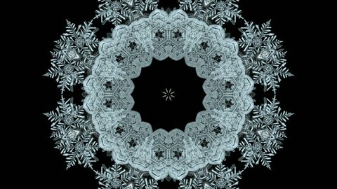 falling snowflake shaped flower pattern,chrismas,xmas,lace,wedding background.