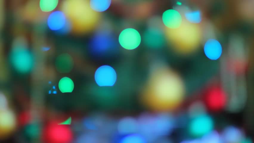 Colorful garland lights are sparkling on the background. Christmas pine tree