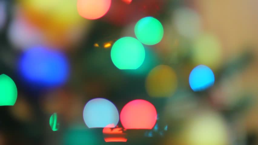 Christmas garland lights on pine tree out of focus. Colorful garland lights are