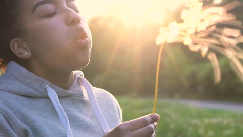 4K video clip of beautiful happy mixed race African American girl teenager or young woman laughing, smiling and blowing a dandelion at sunset or sunrise