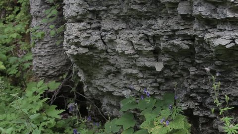 Ancient rocks 
Ancient rocks in the taiga of Siberia