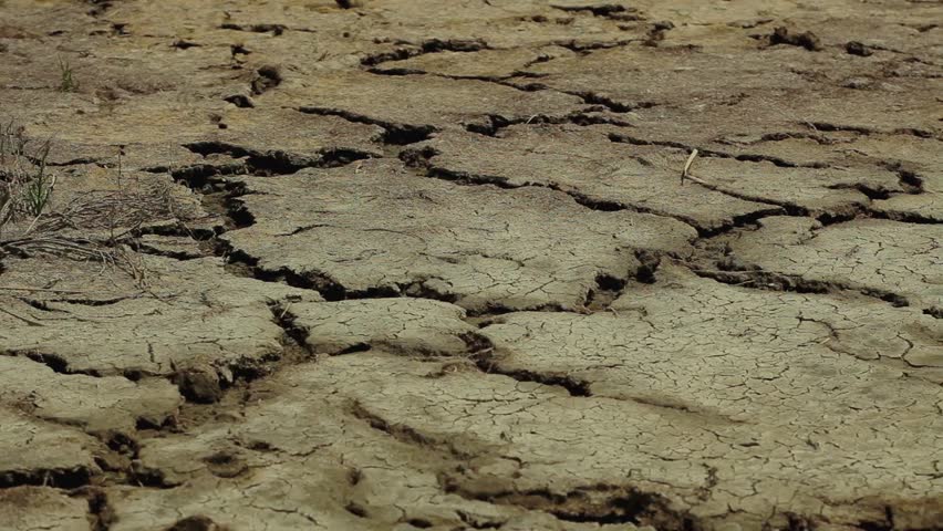 Dry earth cracked by drought on a water reservoir in summer. Royalty-Free Stock Footage #32526004