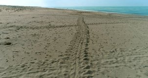 Marine turtles tracks footage; aerial shots in diverse angles and spots.