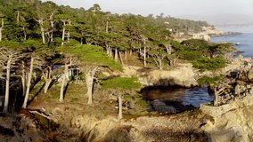 Aerial Drone Stock Video of Lone Cypress at Pebble Beach in big sur