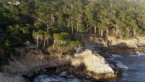Aerial Drone Stock Video of Lone Cypress at Pebble Beach in big sur