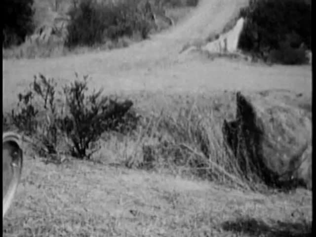 Oil drum rolling down hill