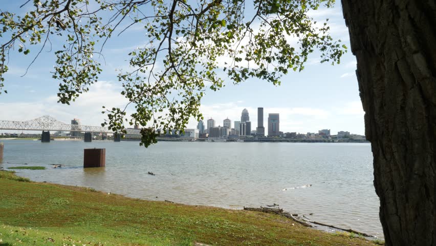 From Behind a Big Tree Louisville Kentucky Cityscape High Buildings