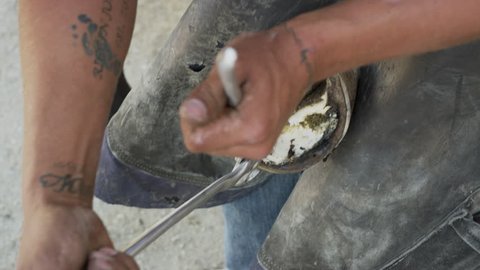 Close up high angle view of man trimming hoof of horse / Lehi, Utah, United States