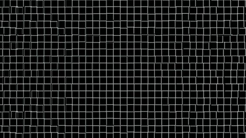 2D white line square grid random wiggle