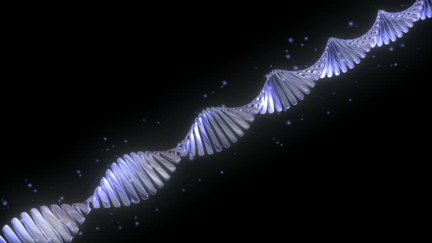 DNA Strand long on Black background HD1080