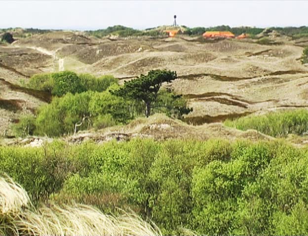 Spiekeroog island; Dunes