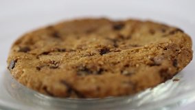 Chocolate chips cookie closeup on dish blur background