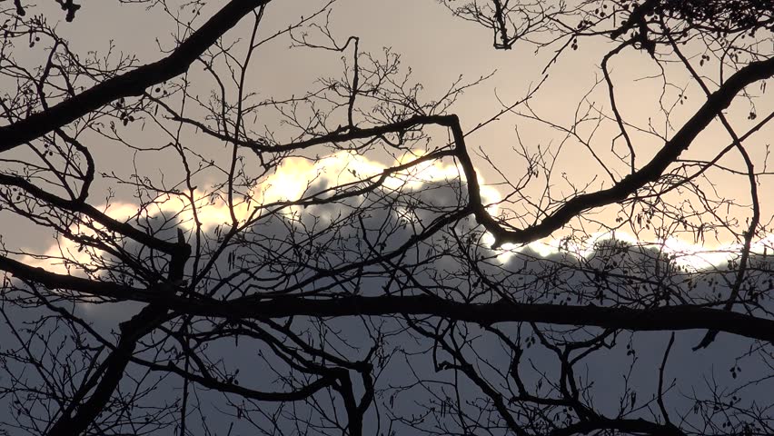 View of dramatic rainy cloud motion among empty tree branch, sunlight rays bright