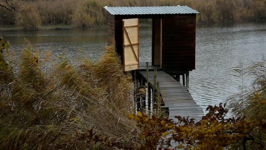 A gray autumn day at a lake
