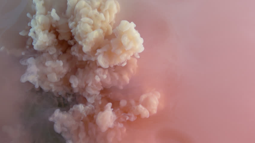 Colorful orange and pink paint drops from above mixing in water, swirling softly underwater. Cloud of ink isolated. Colored abstract smoke explosion animation. Close up view