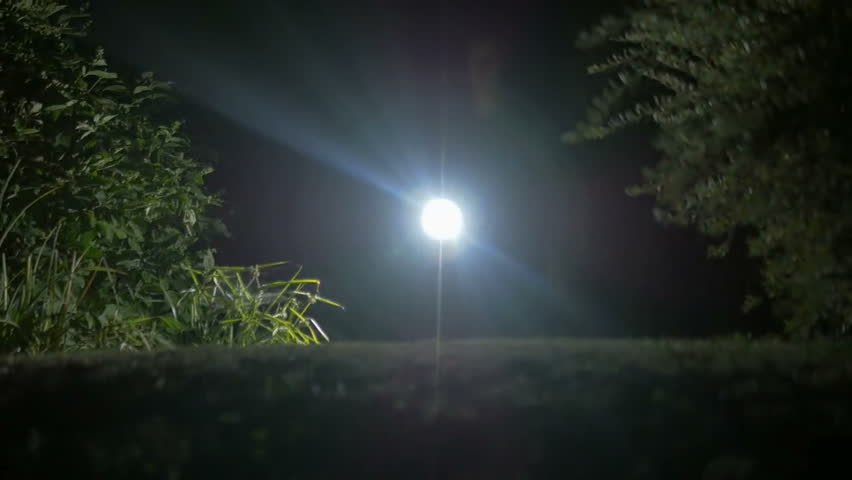 night flashlight