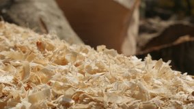 Close-up pile of wood cutting scobs 4K 2160p 30fps UltraHD footage - Tilting over wooden sawdust 3840X2160 UHD video