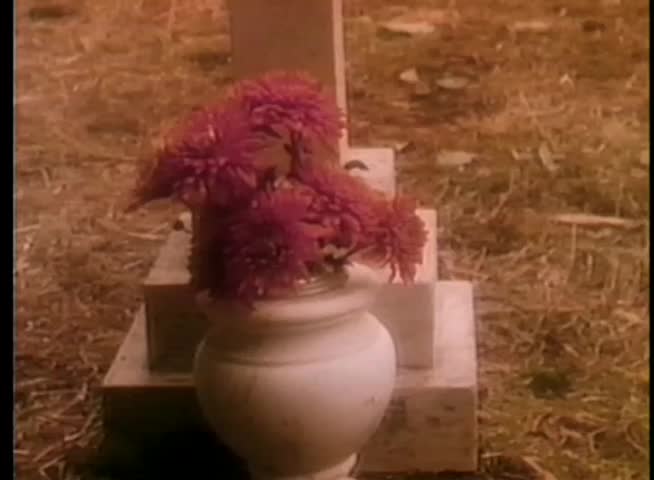 People standing in graveyard