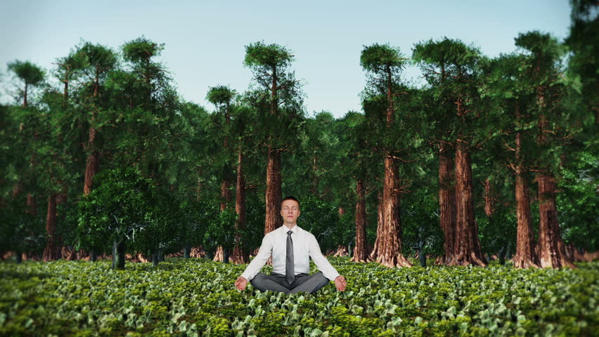 Businessman in Forest Meditating