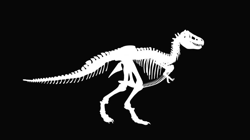 T-Rex Dinosaur silhouette against black, seamless loop