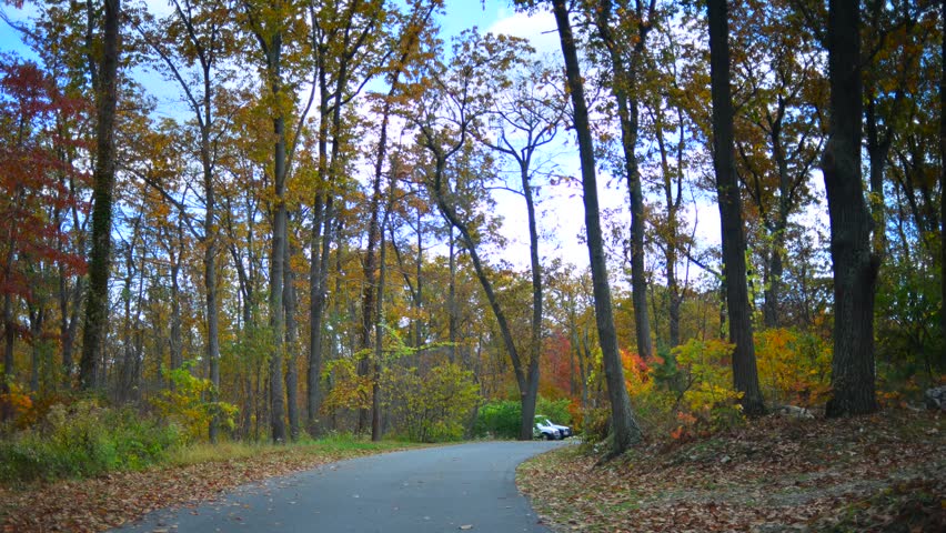 Time lapse of a drive through a hilly twisty road during glorious fall in rural Pennsylvania. 