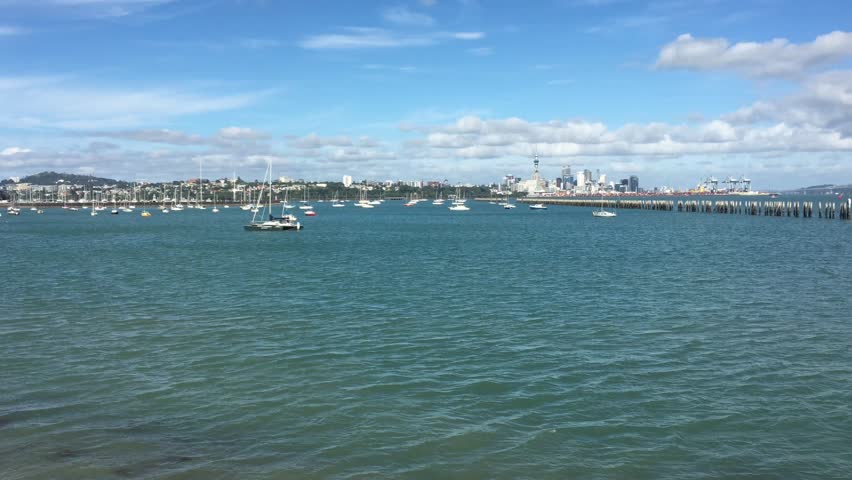 Woman runs on Okahu bay wharf in Auckland, New Zealand 