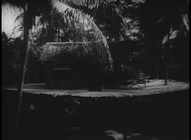 Wide shot of tropical tree house