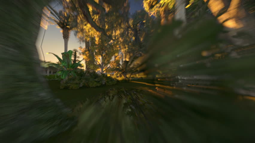 Flying over the city and into the forest