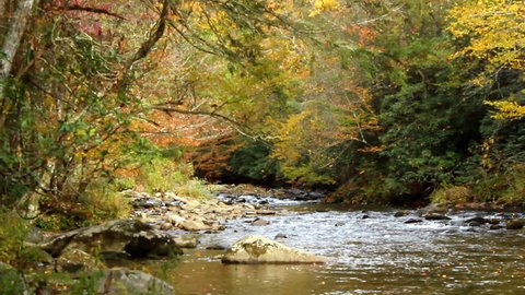 Autumn leaves fall into a scenic rocky river in Tennessee, USA