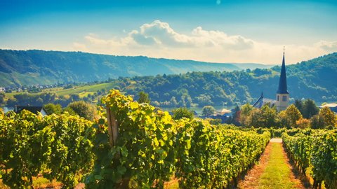 Panoramic landscape with autumn vineyards. Eifel, Germany. Nature background, Full HD, 1080p