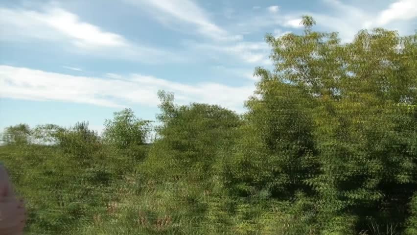 360 degree pan of woman covering face from sun only to look out to beautiful green vista from mountain top, to trail and back.