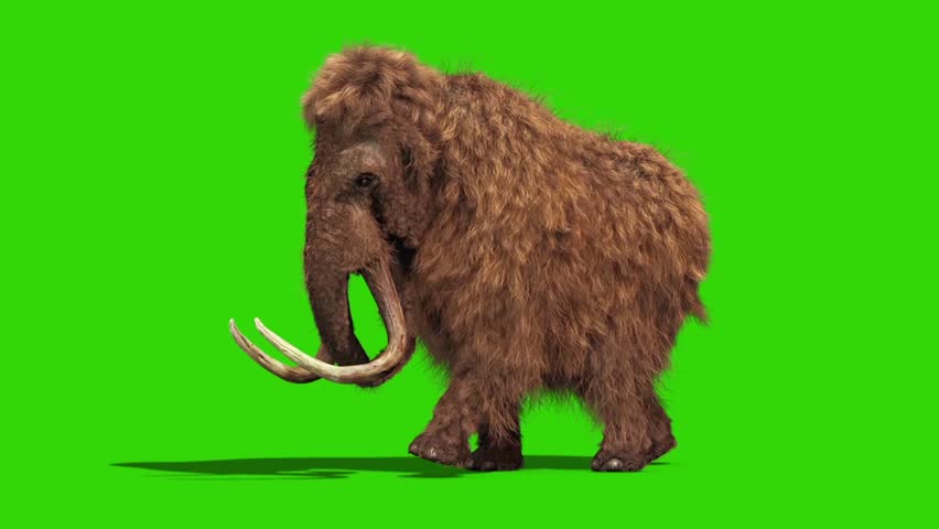 Thumbs Up Sound Activated Movement 3D Walking Mammoth 89 Pieces Model WALKMMTH 