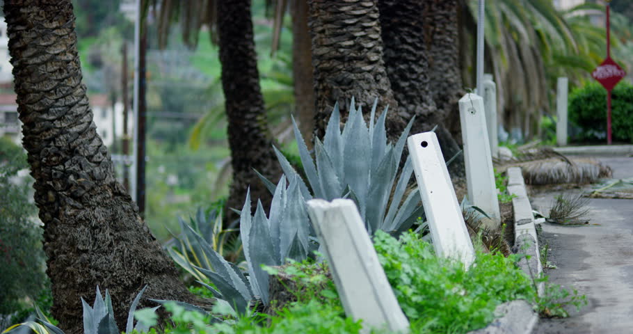 Back alley with graffiti in Echo Park, Los Angeles, California