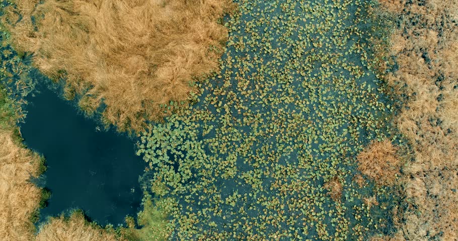 Aerial view drone landscape Land O