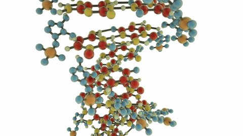 DNA strand animation