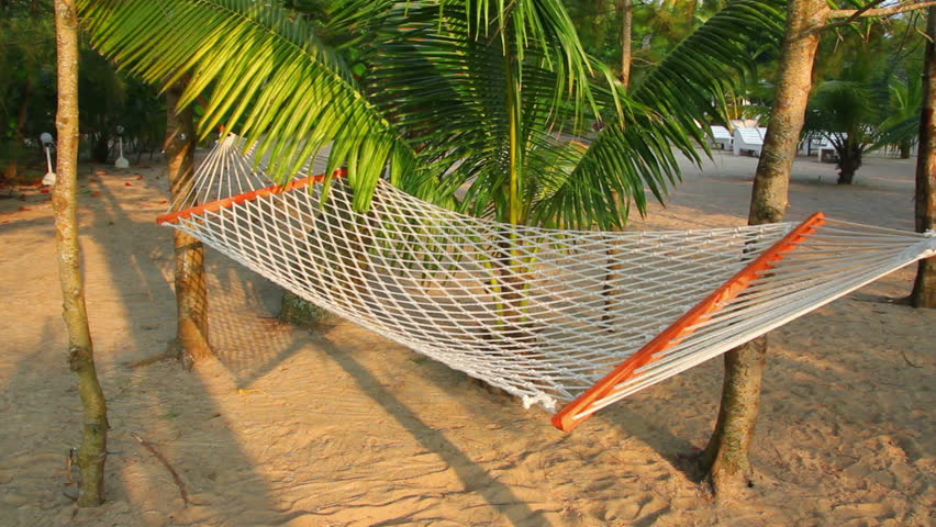 hammock under palm trees - resort relaxation