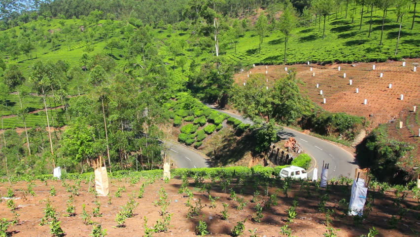 road between tea plantations in Munnar Kerala India