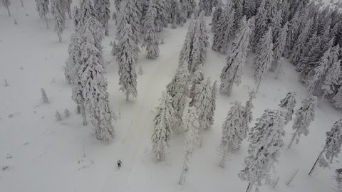 Aerial footage of cross country ski-ing in the Czech Republic mountains and forests