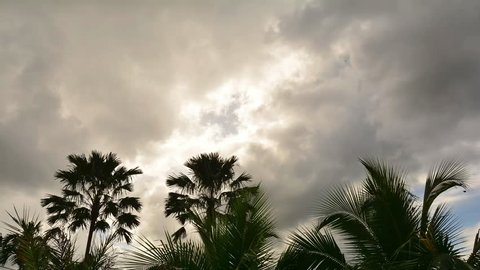 Dark clouds blocking the sun out in raining season of tropical land with palm trees swaying in strong wind .
Rain clouds ,time lapse.
There is light and hope at the end of the tunnel,hope concept.