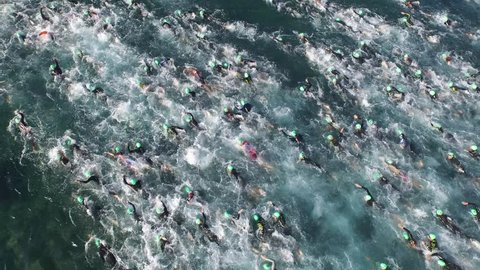 Triathlon swimmers swimming from the top, aerial view